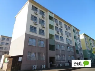 プリムローズⅡ【504号室】の外観