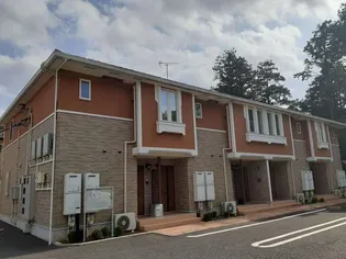 シャルムFの画像