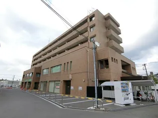 成田コリンズの画像