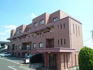 プラティーヌの画像