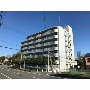 エルサンク松波の画像