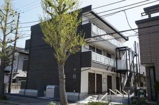 リブリ サウザン ブライトの画像