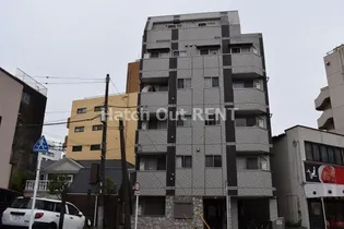 FAIRY CHIBAの画像