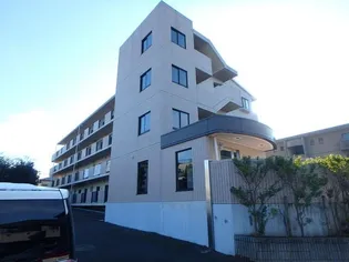 ファインコートの画像