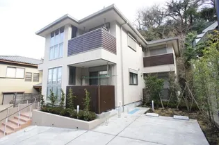 エバーグリーンの画像