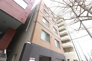 ビバリーパレットの画像