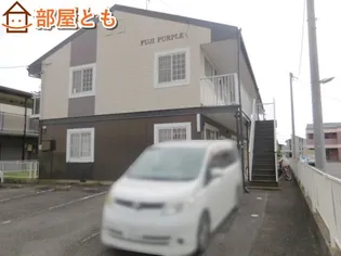 藤パープルの画像