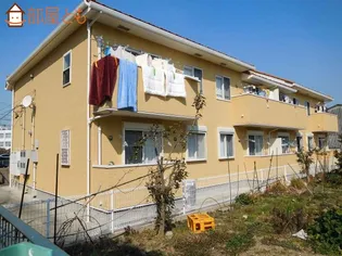 サニーグレープIIの画像