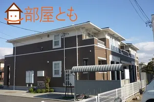 ファイン シーダーの画像