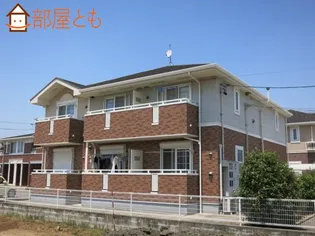 シンシアの画像