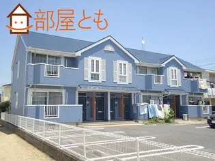 ピーコックBの画像
