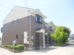 SOUTHERN CROSSの画像
