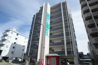 白山ヒルズ【403号室】の外観