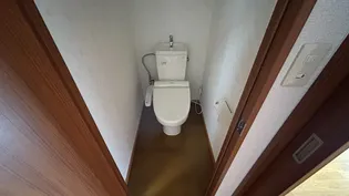 大乃屋ハイツ1号棟【203号室】のその他画像