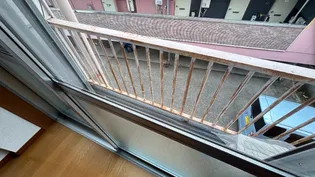 大乃屋ハイツ1号棟【203号室】のその他画像