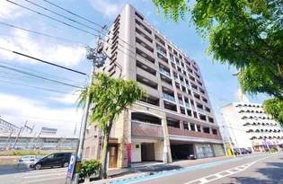 フェルト716【7階】の外観