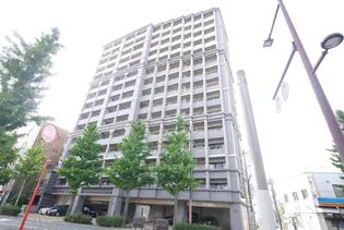 ニューサンリバー12番館【7階】の外観