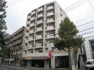 シティハイツ中津口【8階】の外観