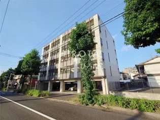 LIVEFLAT藤松の画像