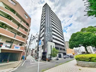フェルトの画像