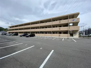 ユーミーシャルマンの画像