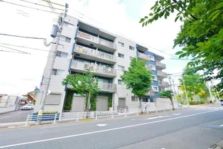 フォルツァ ドット ミユの画像