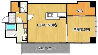 SQUARE152【8階】の間取り