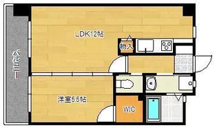フェルト1113【9階】の間取り