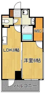 フェルト127【11階】の間取り