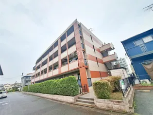 フィールド ワンの画像