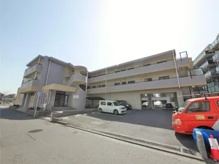 ナセール リベルタの画像