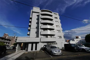 カサブランカフィールドの画像