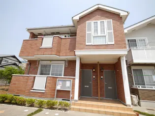 クリスマスローズIIの画像