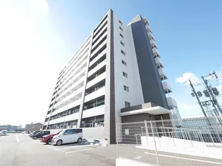 レジェンド朽網の画像