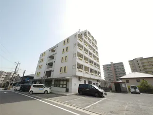 ニューポート9の画像