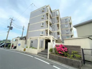 スターロワイヤル小波瀬の画像