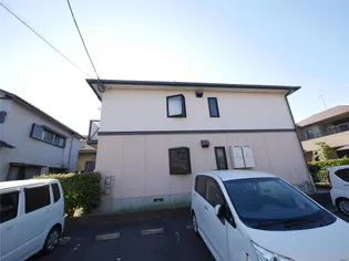 コスモス20の画像