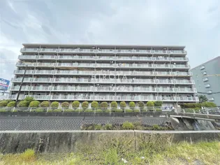 ペルル湯川新町弐番館 807号室【8階】の外観