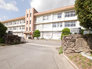 上田ハイツ【2階】の外観