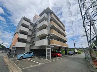 メゾンピザピノの画像