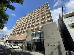 ルピナス守恒の画像