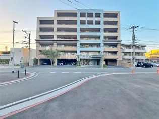 フリーリー守恒の画像