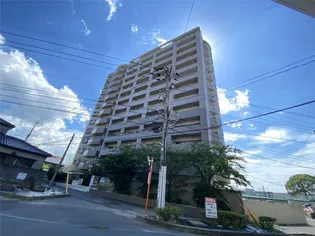 ジャミロ小倉の画像