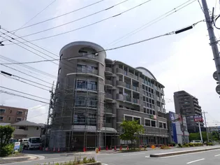 ハーベスト守恒の画像