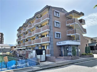 ハイツ グラッツィア【4階】の外観