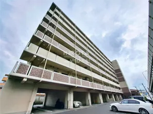 エヴァーグリーンN【7階】の外観