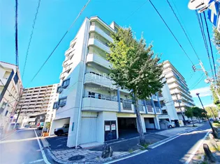 アンジェロポストⅤの画像