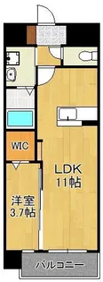 プレミア片野【12階】の間取り
