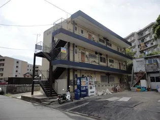 ニューハイツ紅梅の画像