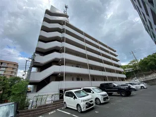シャトレ岸の浦の画像